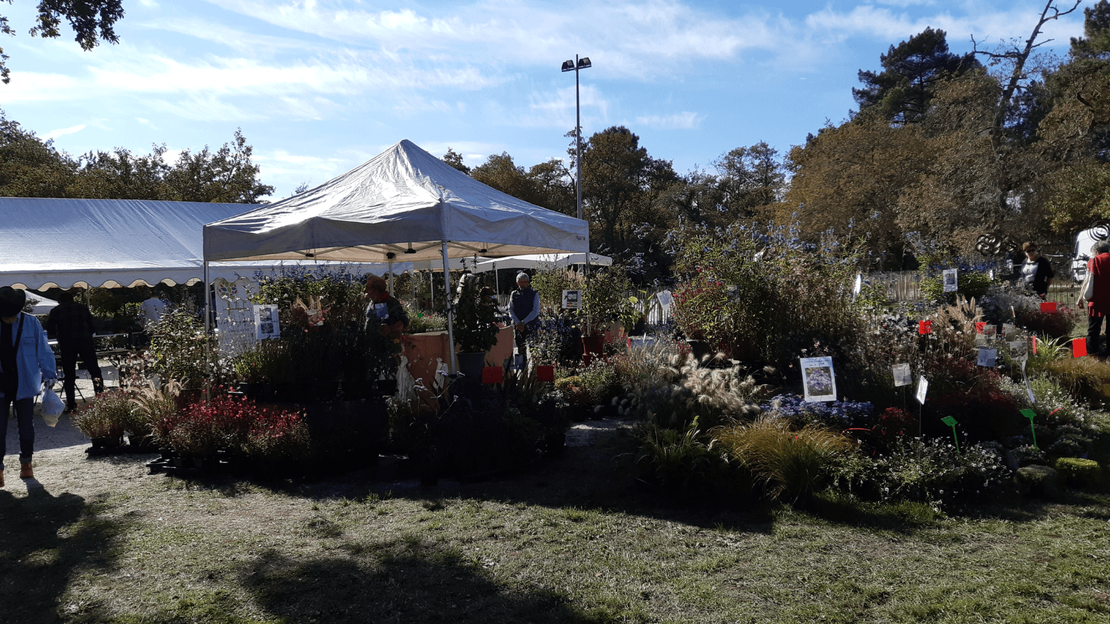 Jardins et saveurs d'automne