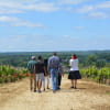 Château de Rayne Vigneau - BOMMES - Sud-Gironde 6