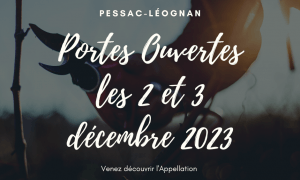 Visuel attente Pessac-Léognan - 1