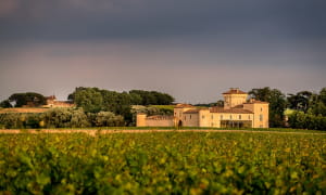 Château Lafaurie Peyraguey - BOMMES - Sud-Gironde
