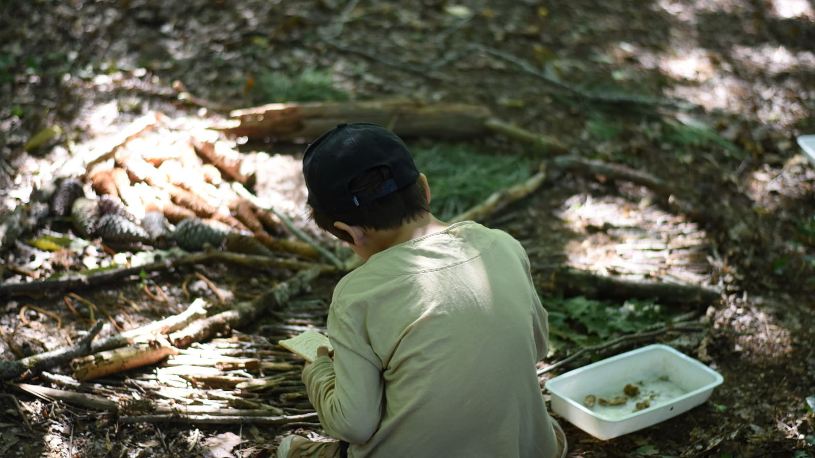 anim atelier de la forêt1