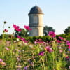 Prairie fleurie TOUR Cht de Portets