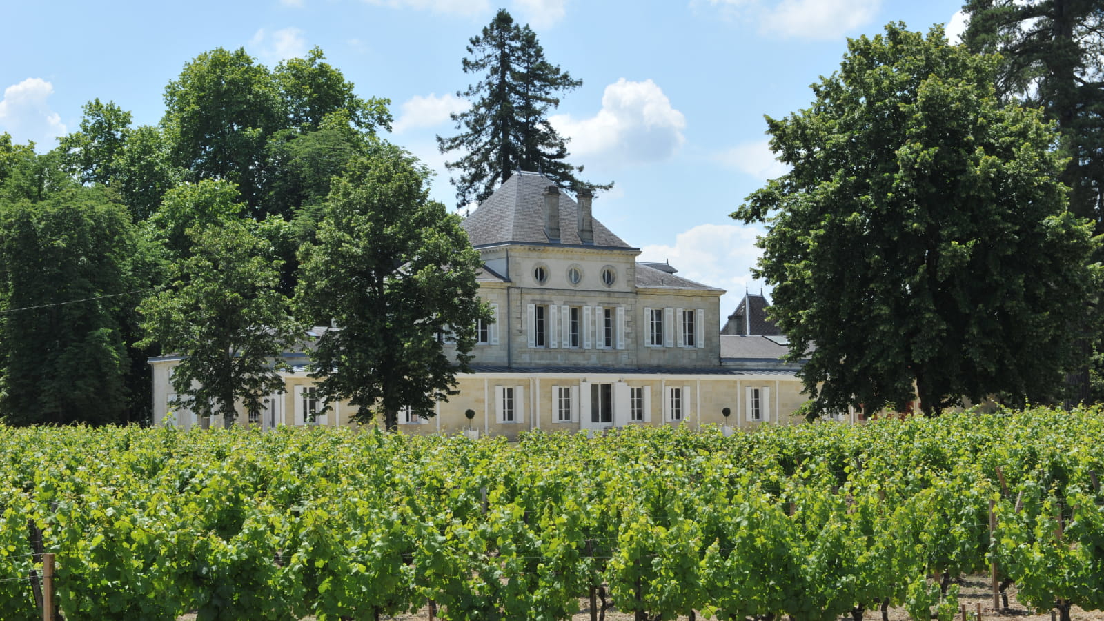 chateau_haut_nouchet (2)