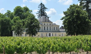 chateau_haut_nouchet (2)