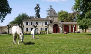 chateau_lusseau_P1090784